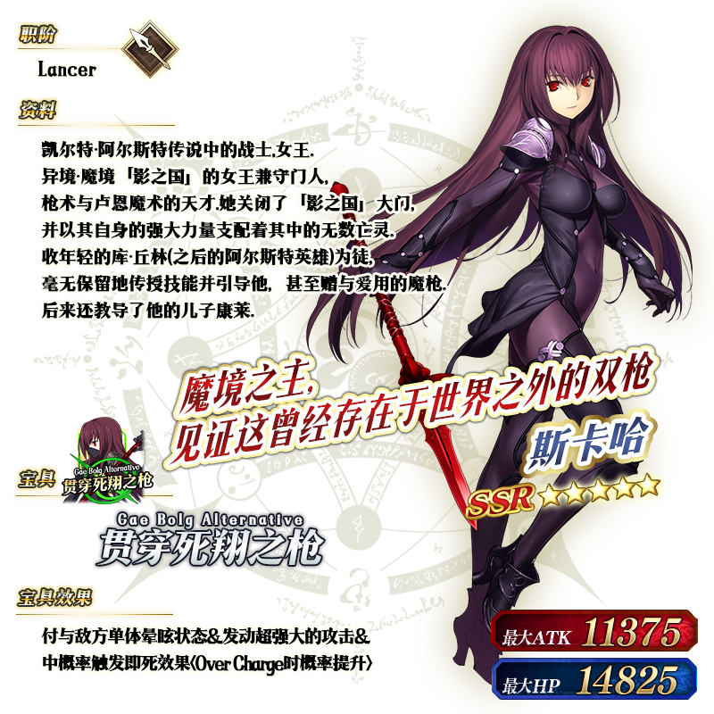 从者-070-资料 复合宝具.png