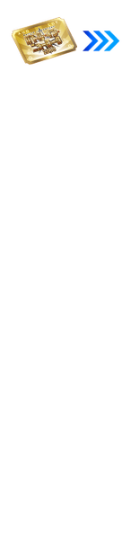 文件:BATTLE IN NEWYORK 2018 AUO抽奖券（右）.png