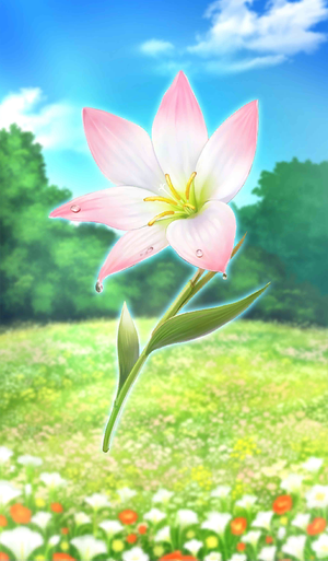 美丽而虚缈之花.png