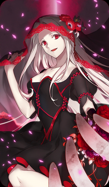 文件:黑之圣杯 国服.png